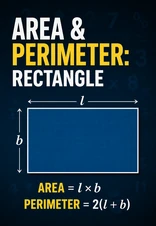 Rectangle Area and Perimeter